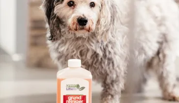 Kleiner Hund steht hinter Boden-Pflegemittelflasche