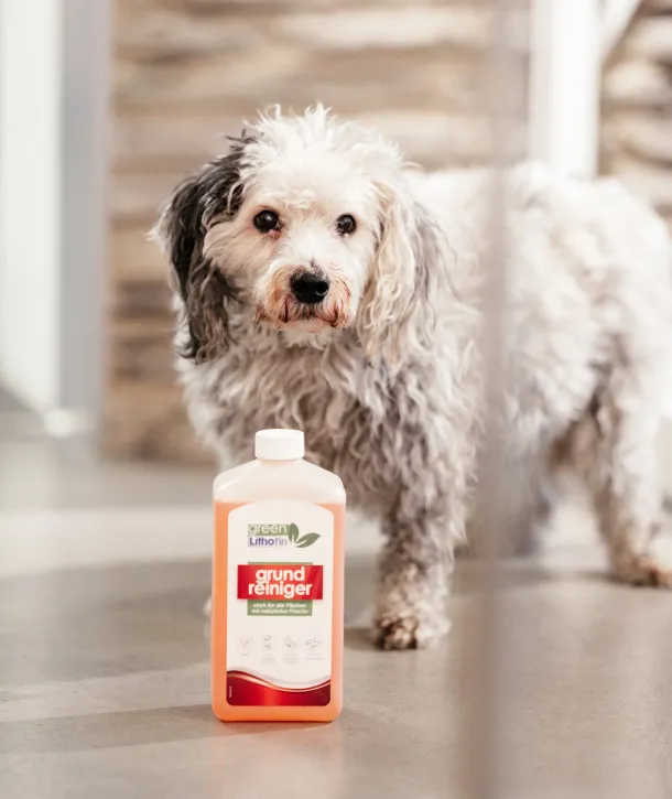 Kleiner Hund steht hinter Boden-Pflegemittelflasche